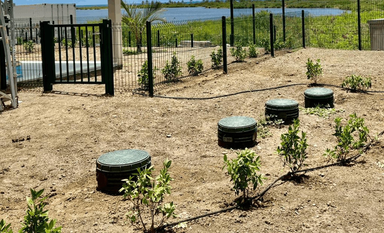 Treatment unit lids and irrigation line among new plantings